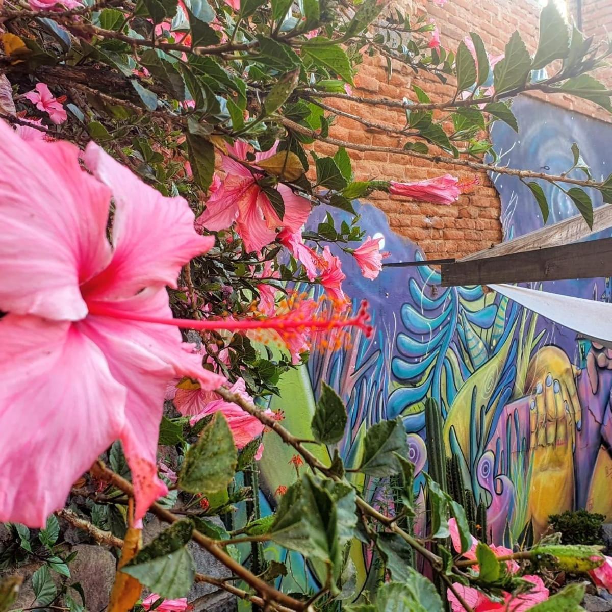 Hostel La Casa Piola Valparaíso Exteriér fotografie
